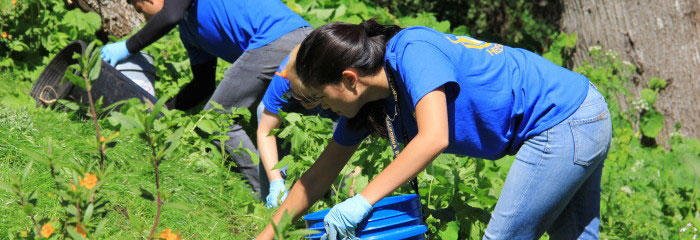 volunteer-clearing-fields-e1399922811959-700x240